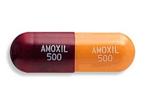 amoxel