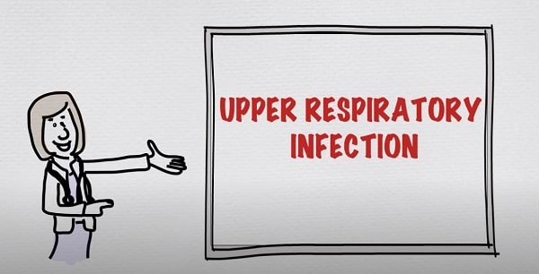 upper respiratory tract infections