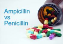 Ampicillin vs amoxicillin