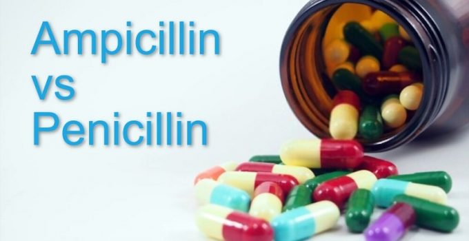 Ampicillin vs amoxicillin